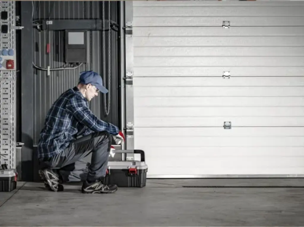 professional garage door maintenance expert